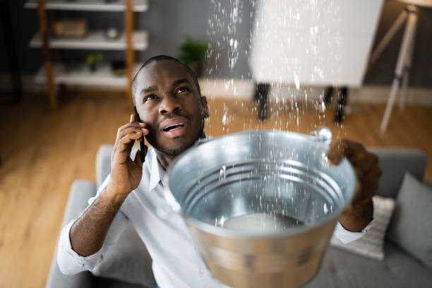 Trusted IN Water damage restoration Experts