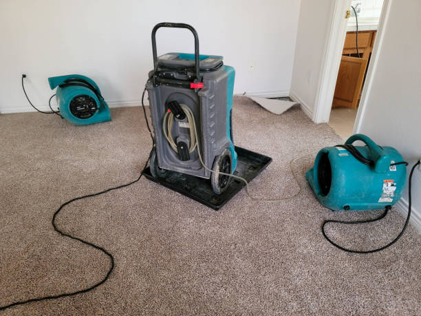 Best Water damage cleanup near me  in Battle Ground, IN