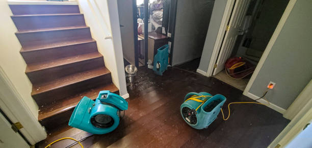 Best Flood damage cleanup  in Battle Ground, IN