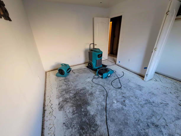Best Emergency water damage restoration  in Battle Ground, IN