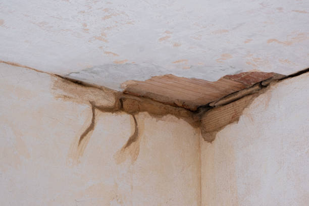 Best Basement water damage restoration  in Battle Ground, IN
