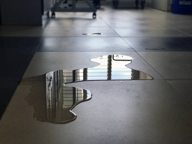 Best Local water damage restoration  in Battle Ground, IN