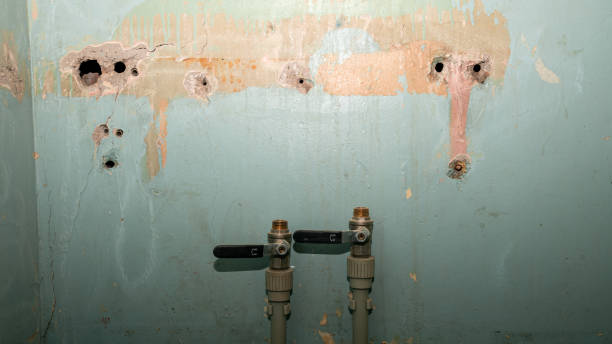 Reliable IN Water damage restoration Solutions