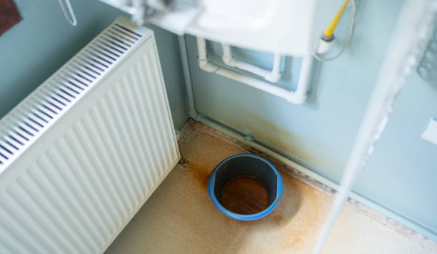 Best Professional water damage repair  in Battle Ground, IN
